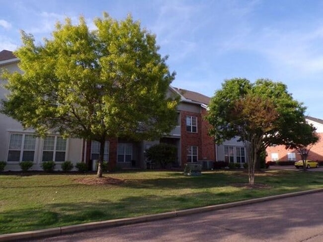 202 Private Rd 3097 in Oxford, MS - Building Photo - Building Photo