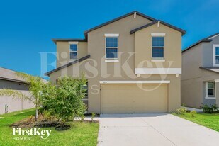 4313 Globe Thistle Dr in Tampa, FL - Building Photo