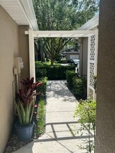 4219 Key Thatch Dr in Tampa, FL - Building Photo - Building Photo