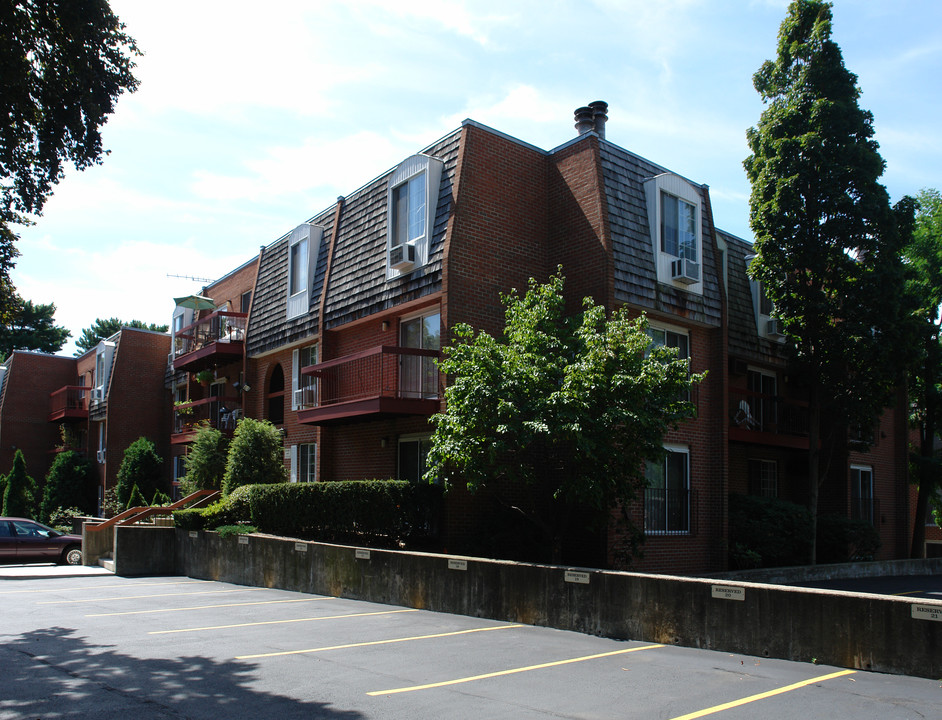 Copper Beech in White Plains, NY - Building Photo