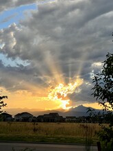 354 Norgay Wy in Erie, CO - Building Photo - Building Photo