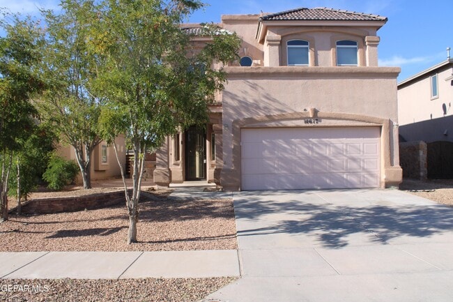 14617 Randall Cunningham