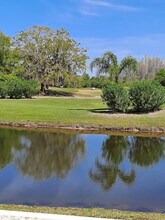 19138 Cypress Green Dr in Lutz, FL - Building Photo - Building Photo