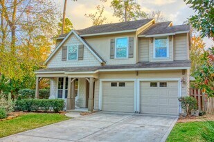 59 N Flickering Sun Cir in The Woodlands, TX - Building Photo