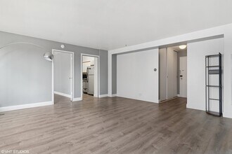 850 N Dewitt Pl in Chicago, IL - Building Photo - Building Photo