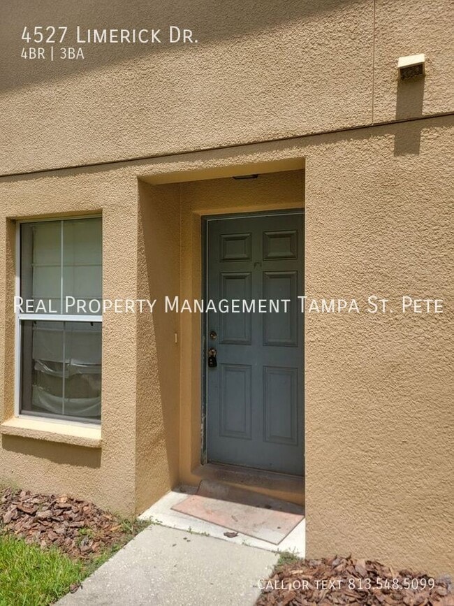 4527 Limerick Dr in Tampa, FL - Building Photo - Building Photo