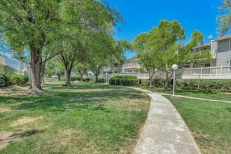 3655 Birchwood Terrace in Fremont, CA - Building Photo - Building Photo