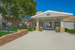 Wind Tree in El Paso, TX - Building Photo