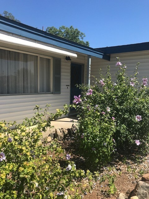 2650 Cactus Ave in Chico, CA - Building Photo - Building Photo