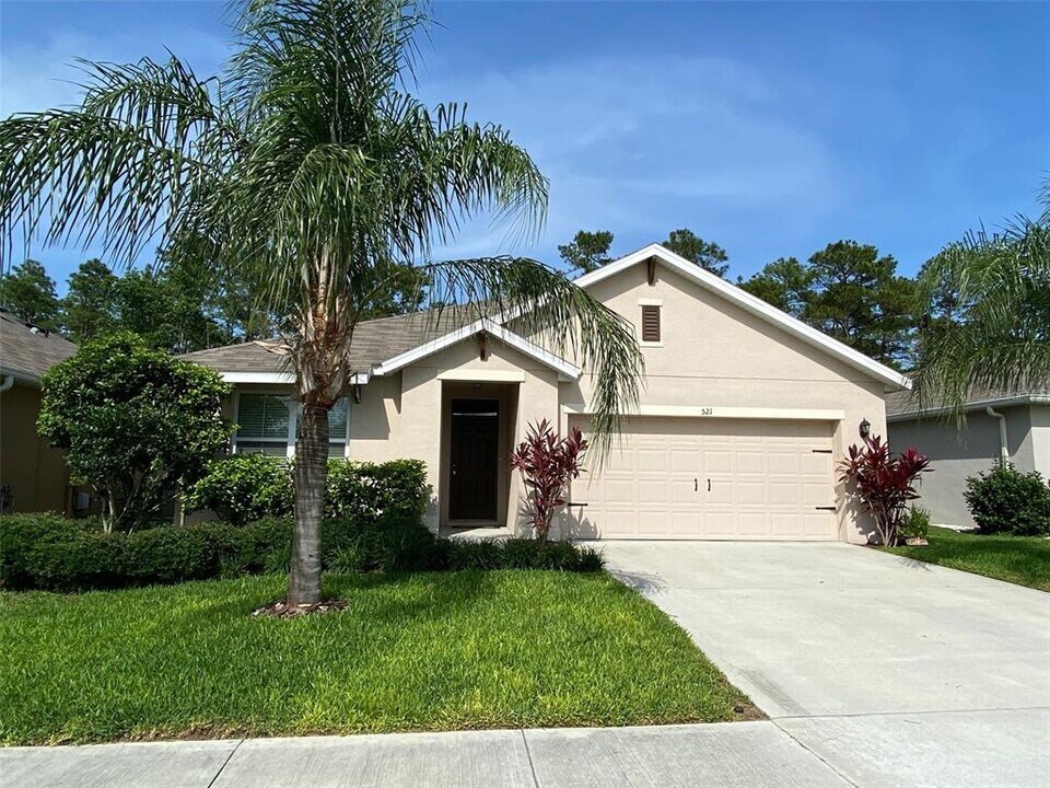 521 White Coral Ln in New Smyrna Beach, FL - Building Photo