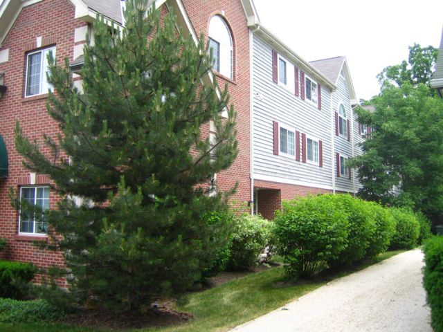 Colonial Square Offices in Barrington, IL - Foto de edificio - Building Photo