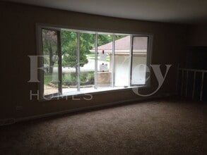 817 Rose Ln in Matteson, IL - Foto de edificio - Building Photo