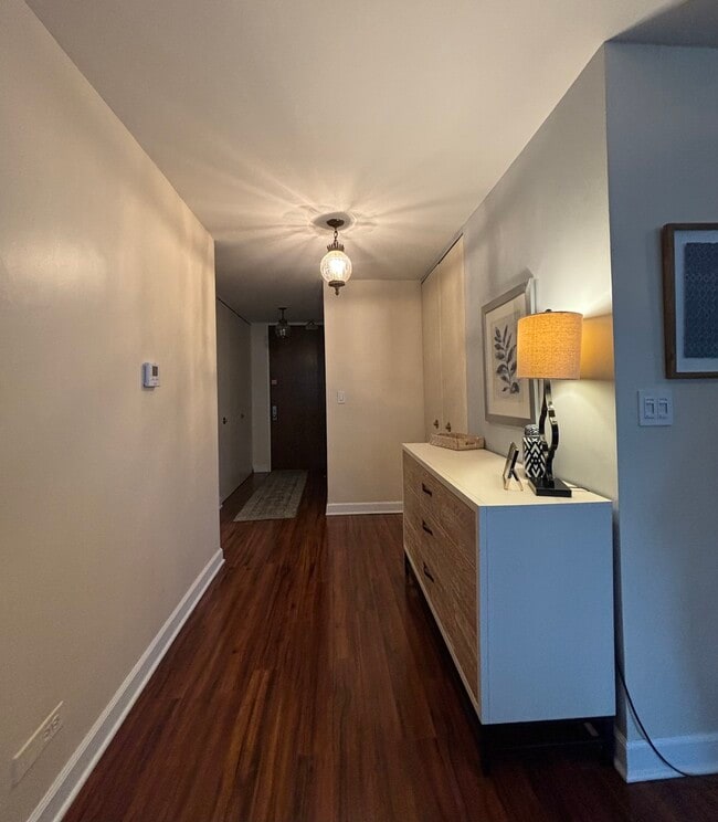 201 E Chestnut St in Chicago, IL - Building Photo - Building Photo