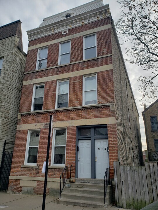 973 W 19th St in Chicago, IL - Building Photo