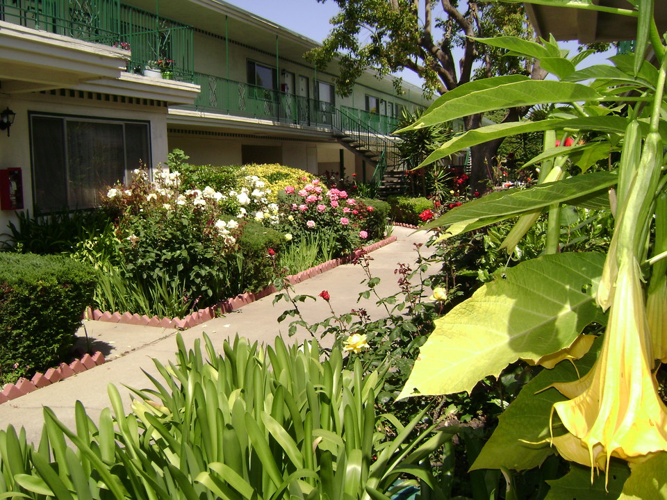 The Colonial House in San Jose, CA - Building Photo