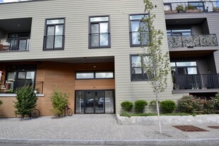 29 Woodbine St, Unit 206 Apartments