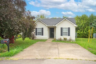 517 Longleaf Ct in Nashville, TN - Building Photo