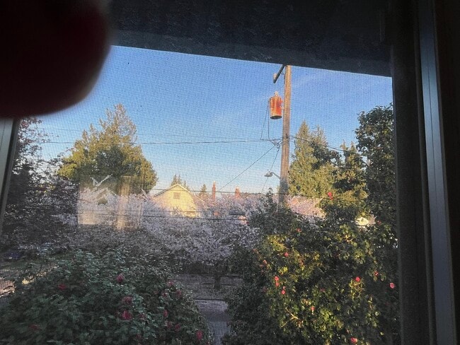 6057 34th Ave NE in Seattle, WA - Building Photo - Building Photo