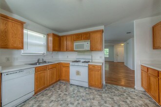 8433 Alum Rock Dr in Austin, TX - Building Photo - Building Photo