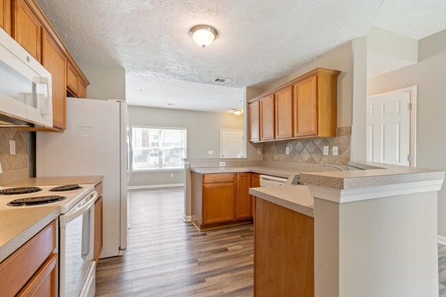 1020 Somerset Springs Dr in Spring Hill, TN - Building Photo - Building Photo