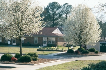 Clearwater Village in Beech Island, SC - Building Photo