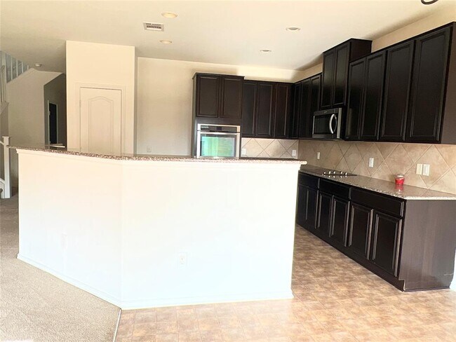 18824 Star Gazer Way in Pflugerville, TX - Building Photo - Building Photo