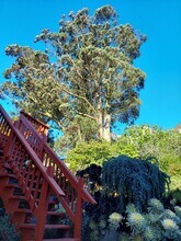 3565 Mission St, Unit B in San Francisco, CA - Foto de edificio - Building Photo