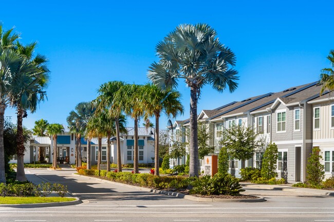 Covey Homes Bella Citta in Davenport, FL - Foto de edificio - Building Photo