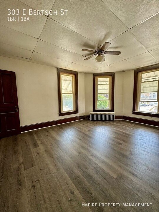 303 E Bertsch St in Lansford, PA - Building Photo