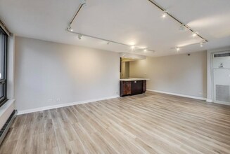 440 N Wabash Ave in Chicago, IL - Building Photo - Building Photo