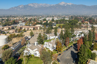 Lomita Court in Rancho Cucamonga, CA - Building Photo - Building Photo