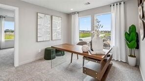 10212 Berkeley Spgs Trl in Houston, TX - Building Photo - Building Photo