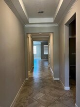 25195 Lambrusco Loop in Lutz, FL - Building Photo - Building Photo