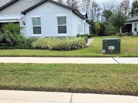 16890 Forge Surf St in Land O Lakes, FL - Building Photo