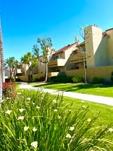 PepperTree Place in Riverside, CA - Building Photo - Building Photo