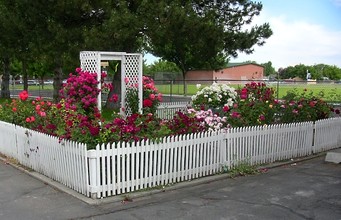 Valley Vista Village in Twin Falls, ID - Building Photo - Building Photo