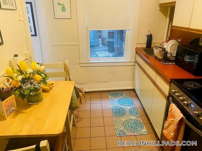 94 W Cedar St, Unit 2 in Boston, MA - Building Photo - Building Photo