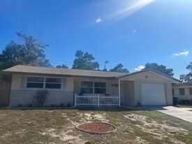 10702 Laburnum Dr in Port Richey, FL - Building Photo