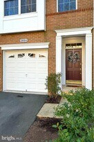 20384 Bass Rocks Terrace in Ashburn, VA - Building Photo