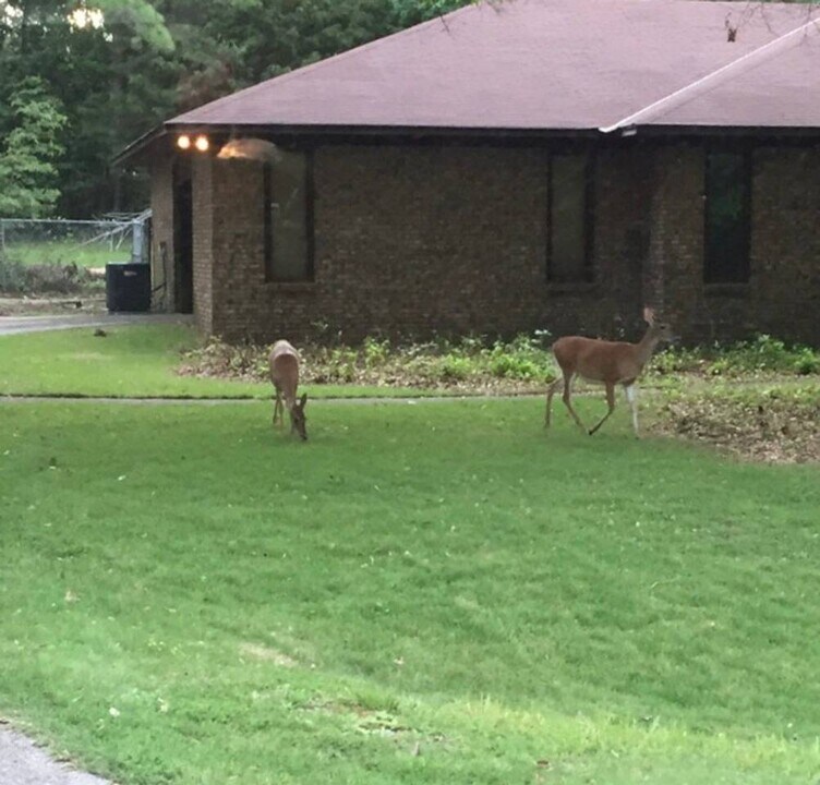 6746 Ranch Forest Dr in Columbus, GA - Foto de edificio