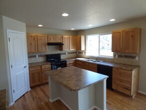 1529 Heirloom Dr in Windsor, CO - Building Photo - Building Photo