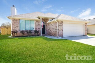 138 Snug Harbor Blvd in Montgomery, TX - Building Photo