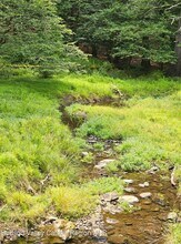 272 Yerry Hill Rd in Woodstock, NY - Building Photo - Building Photo