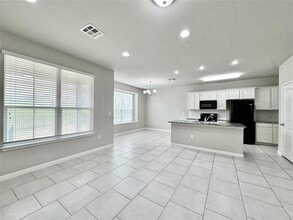 113 Homily Dr in Pflugerville, TX - Building Photo - Building Photo