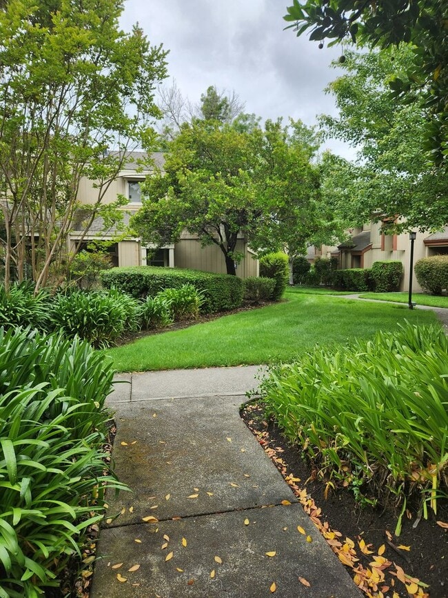 property at 7723 Camino Colegio