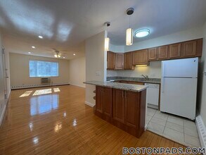 63 Parkman St, Unit 2A in Brookline, MA - Building Photo - Building Photo
