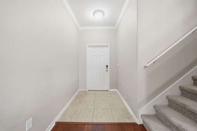 8605 Fiddleleaf Ct in Tampa, FL - Building Photo - Building Photo