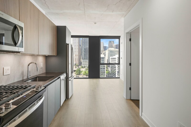 221 W Polk St in Chicago, IL - Building Photo