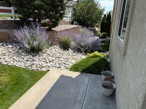 7416 Falconer View in Colorado Springs, CO - Building Photo - Building Photo