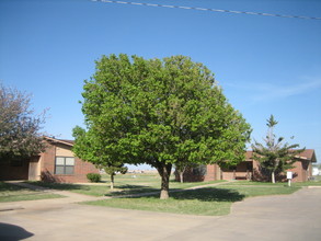 Dimmitt Apartments in Dimmitt, TX - Building Photo - Building Photo